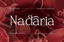 Nadaria - Creative Serif Font