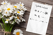 Happy Daisy Handwritten Script Font, a Script Font by Ash Avenue Designs (Thumbnail 7 of 7)