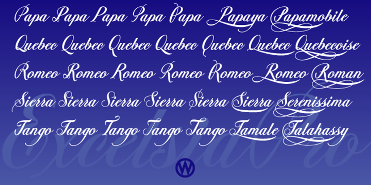 Excelsia Pro, a Script Font by Wiescher-Design (Photo 9 of 11)