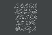 Delynta Roastiph Handwritten Ink Fon, a Script Font by Letterena Studios Script (Thumbnail 14 of 15)