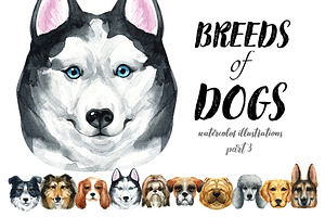 Breeds of dogs - watercolor. Part 3, an Animal Illustration by KatBranchArt