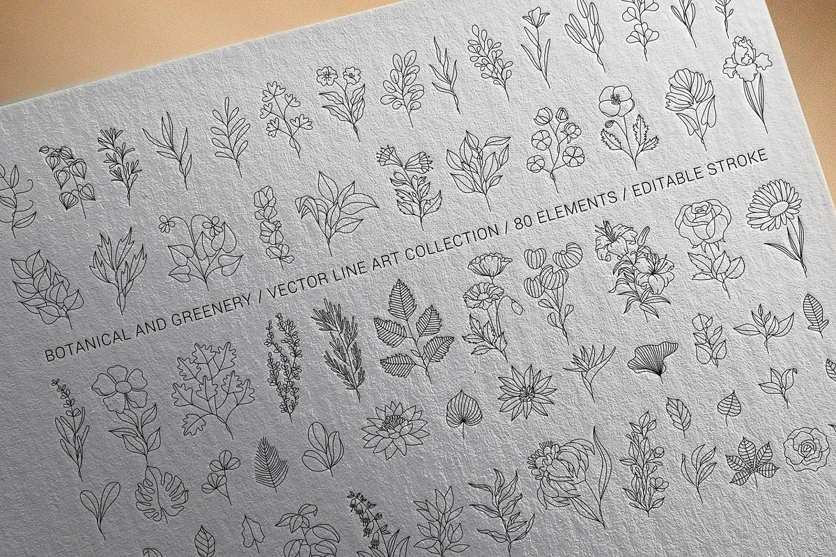 Botanical Vector Greenery & Flowers, a Decorative Illustration by FourLeafLover (Photo 1 of 5)