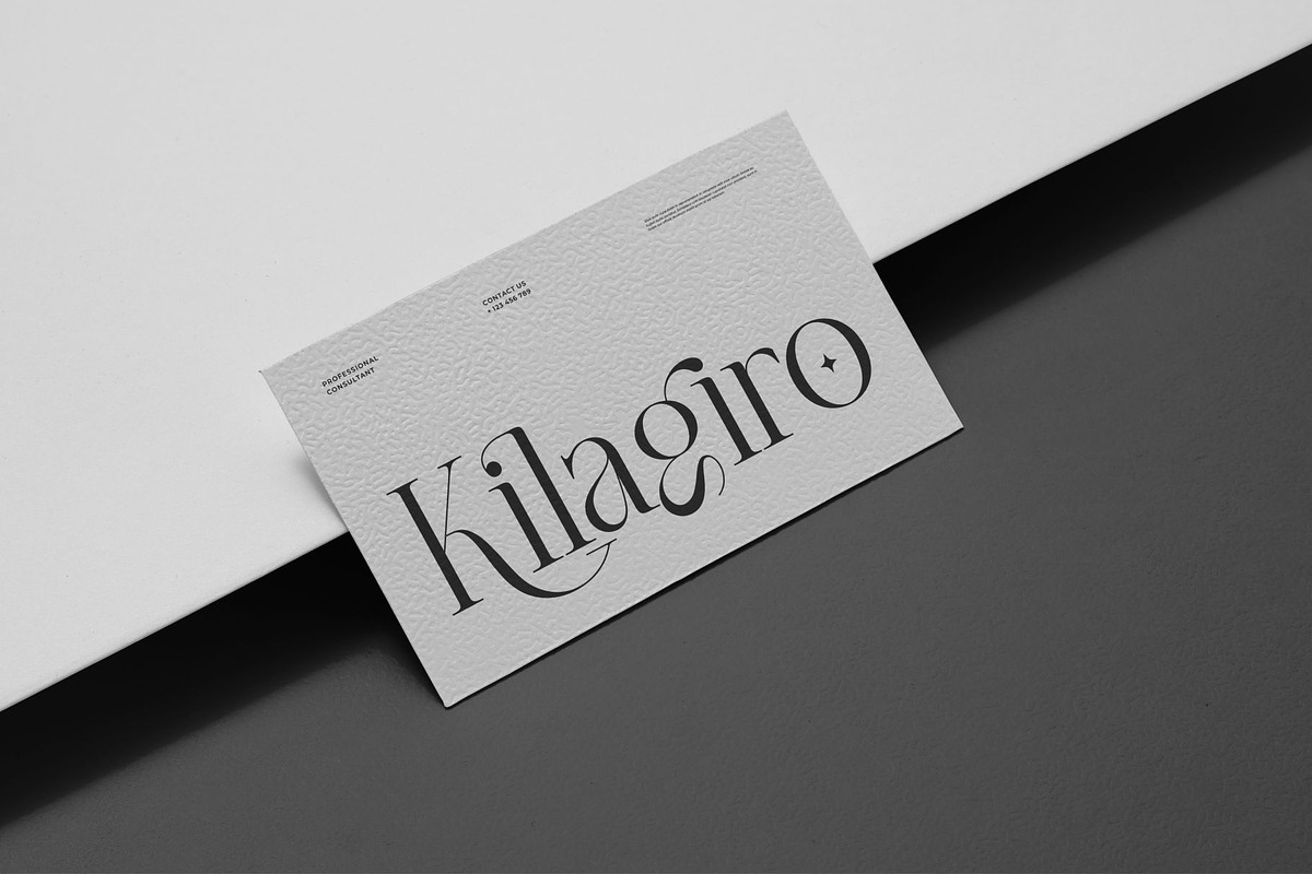 Horlant || Modern Minimalist Serif, a Serif Font by Ermedia Studio (Photo 6 of 10)