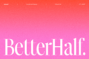 Animal, a Serif Font by Latinotype (Thumbnail 8 of 14)
