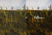Falltime Photoshop Actions, an Action Add-On by Presetrain Co. (Thumbnail 11 of 11)