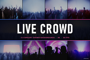 Live Crowd - 12 4K Videos