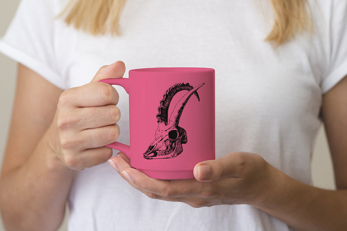 Vintage Bundle 2500+ Free Update, an Animal Illustration by Retro Machine (Photo 18 of 170)