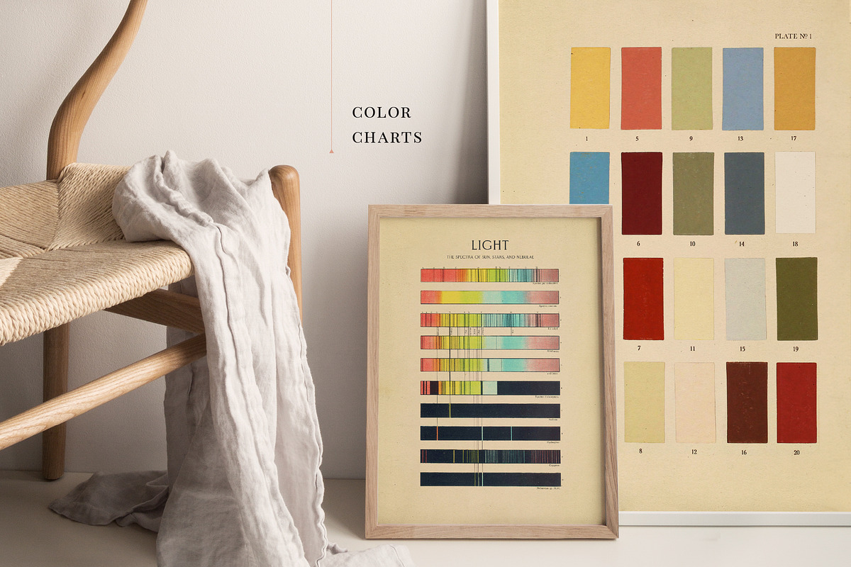 BUNDLE: 200 Vintage Art Prints, a Decorative Illustration by The Object Atlas (Photo 15 of 22)