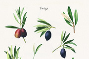 Vintage Olive Graphic Collection, a Decorative Illustration by Olga Begak Art & Design (Thumbnail 3 of 11)