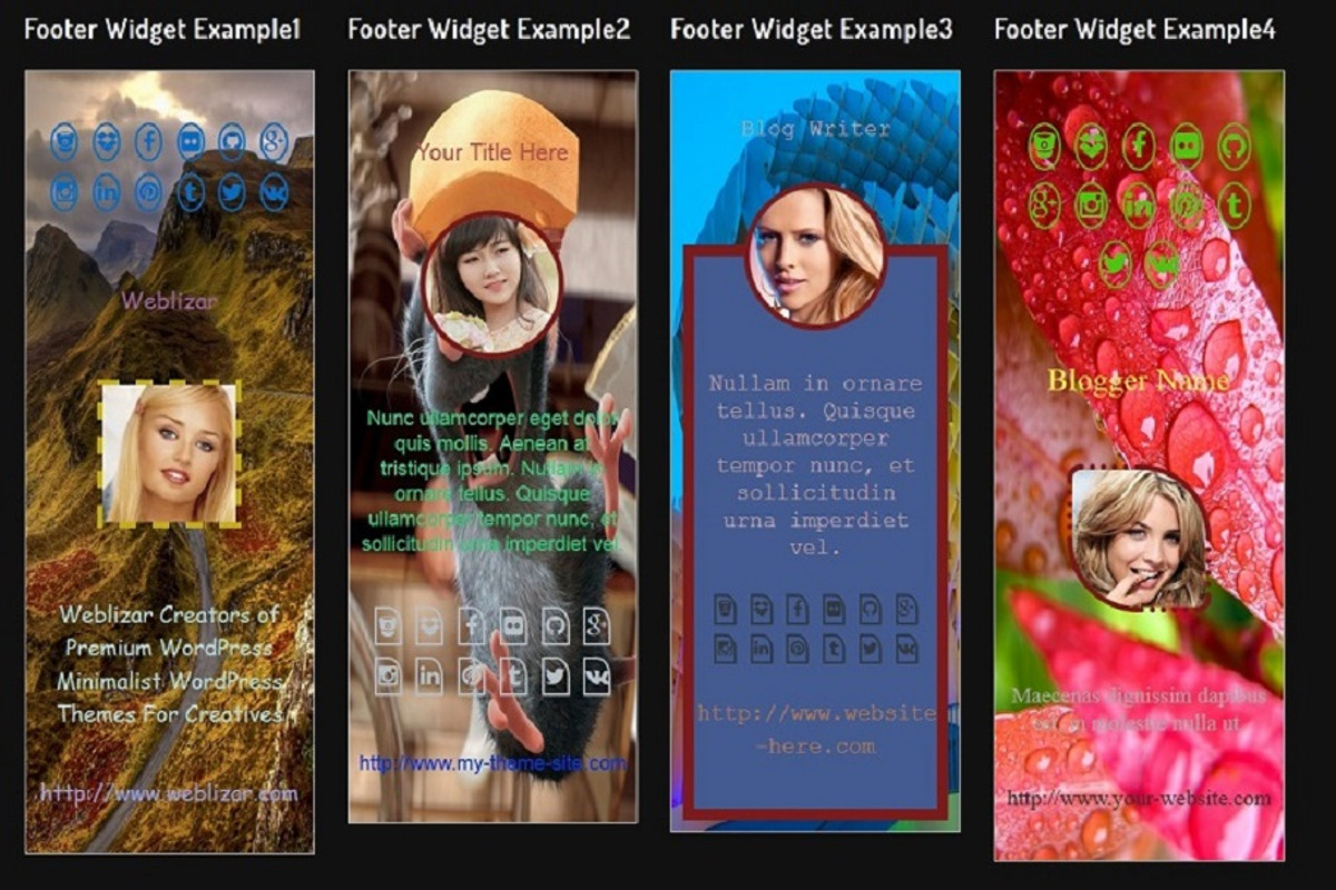 About Author Pro WordPress Plugin, a Plug-in Add-On by Weblizar Themes & Plugin (Photo 4 of 5)