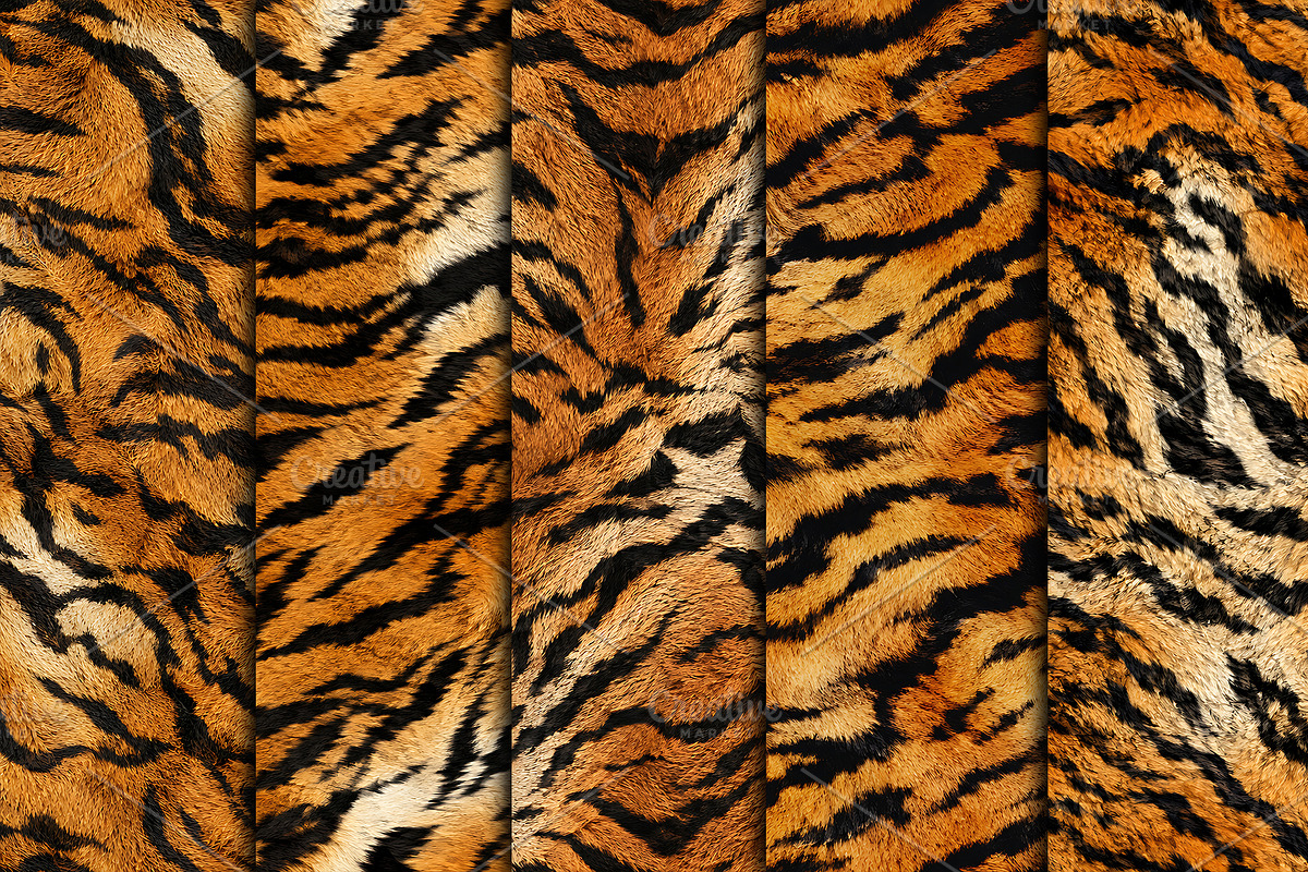 Realistic Tiger Fur Print Texture, a Pattern Graphic by Artonix (Photo 2 of 5)