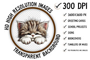 Cute Animals Lying Down Clipart, an Illustration by Craft Nest (Thumbnail 2 of 11)