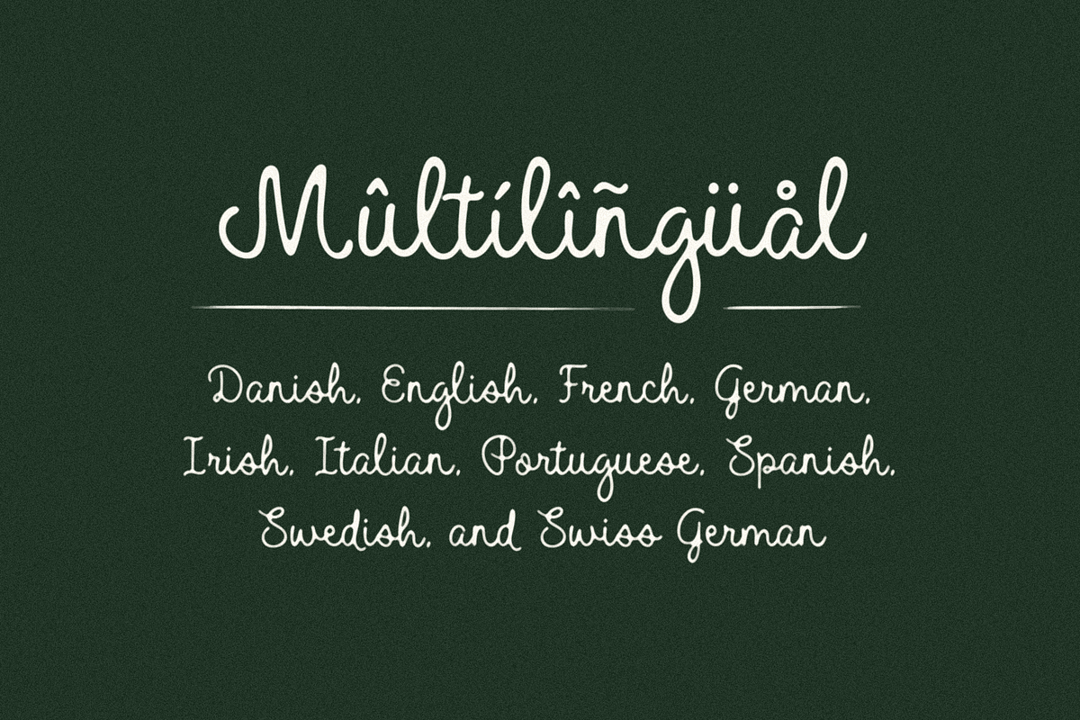 Holiday Market, a Script Font by Bruised Goods (Photo 8 of 11)