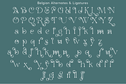 Belgian | Stylish Beautiful Serif, a Serif Font by Sealoung (Thumbnail 16 of 17)