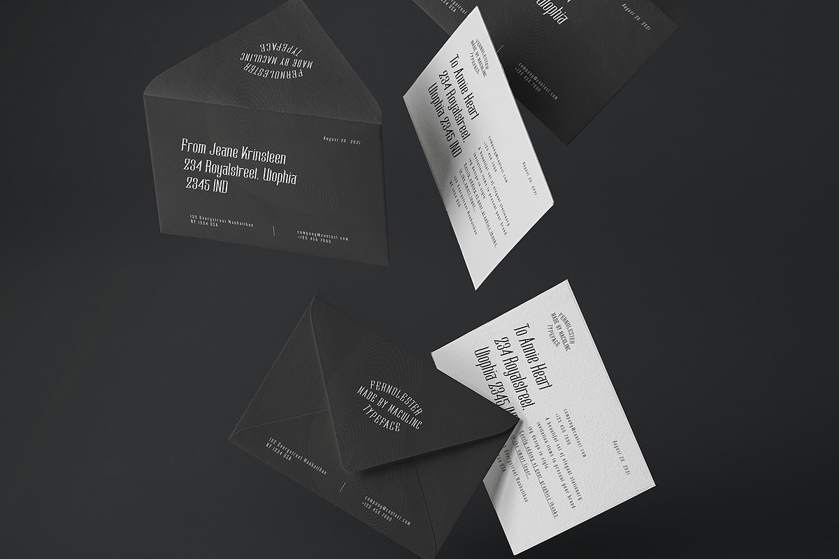 Fernolester - Retro Font, a Serif Font by Maculinc Type (Photo 7 of 12)