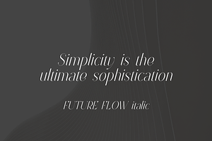 Future Flow Typeface - 8 Fonts