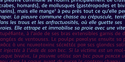 Antipod, a Sans Serif Font by Octotypo (Thumbnail 3 of 7)