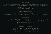 Constaller Chic Calligraphy Script, a Script Font by Namara Creative Studio (Thumbnail 8 of 12)