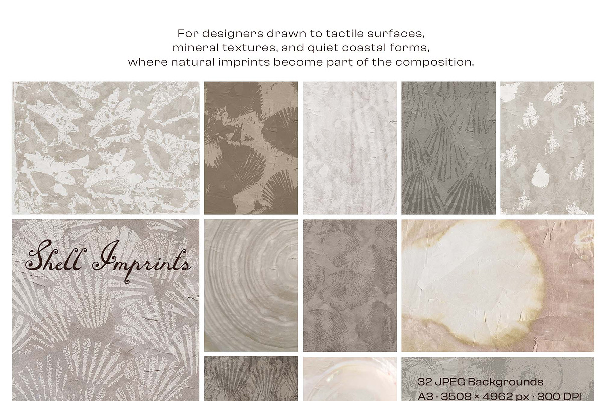 Shell Imprint textures, a Background Graphic by DigARTbyHavroshka (Photo 9 of 12)