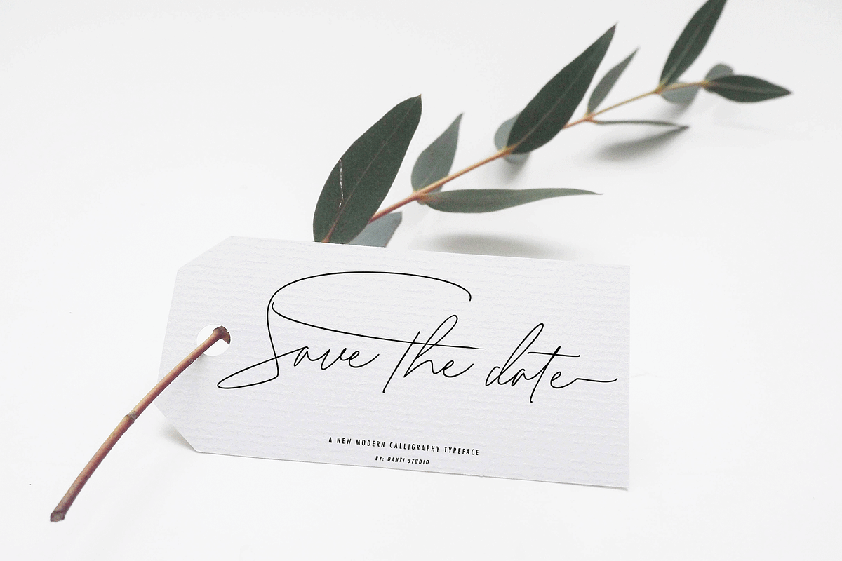 Zallety Signature, a Script Font by danti (Photo 10 of 11)
