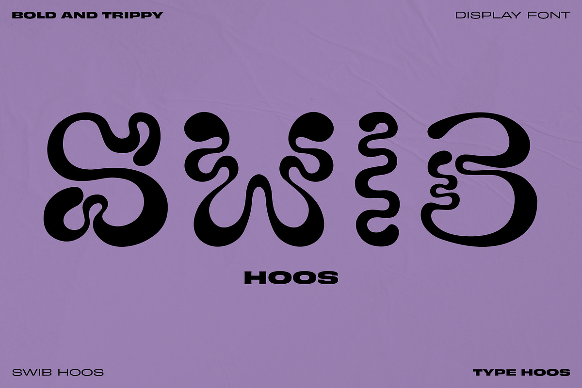 Swib Hoos - Display Font, a Handwritten Font by Type Hoos (Photo 1 of 8)
