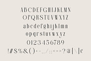ELOVIA - Modern Ligature Typface, a Serif Font by AnnofaType (Thumbnail 6 of 8)