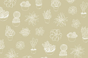 Succulents Vector Illustrations, a Decorative Illustration by Emma Webb Studio (Thumbnail 5 of 6)