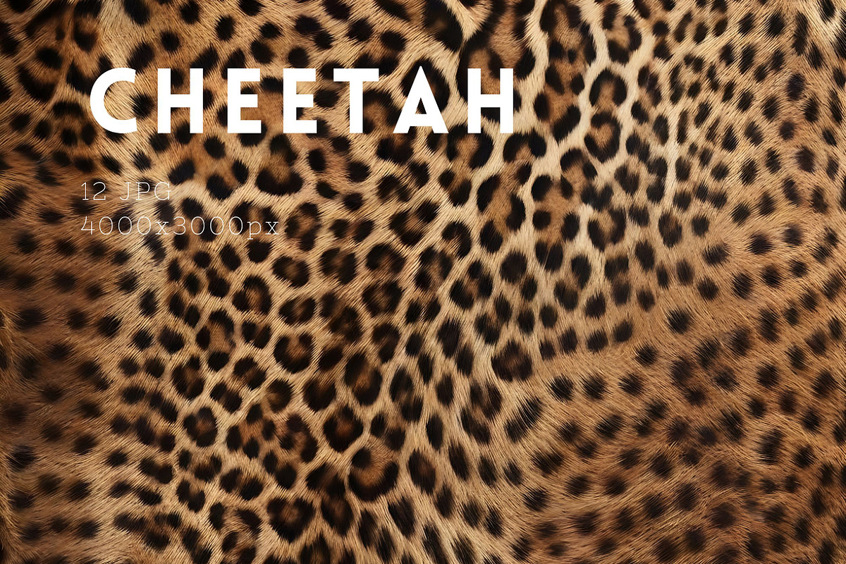 Safari Animals Skin Print Texture, a Graphic by UniqueMe (Photo 5 of 21)