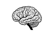 Brain Tree Knowledge Design Bundle, an Illustration by Gaye Art (Thumbnail 6 of 31)