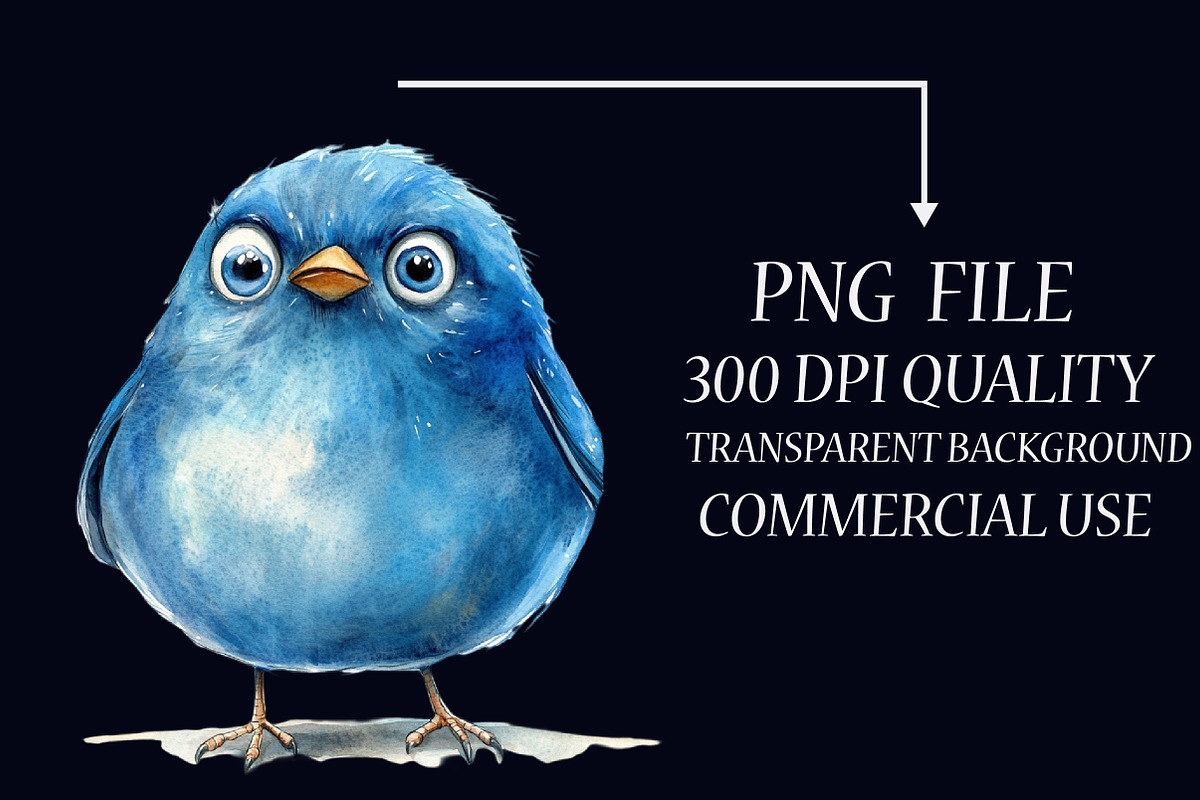 Cute Quirky Funny Birds Clipart, an Illustration by Libby Wishes (Photo 5 of 6)