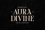 Modern Branding Bundle Premium Font, a Script Font by Akrinity Digital (Thumbnail 4 of 6)