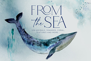 From The Sea Ocean Clipart