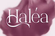 Palgrace Modern Serif Typeface Font, a Serif Font by Vadovastd (Thumbnail 5 of 11)