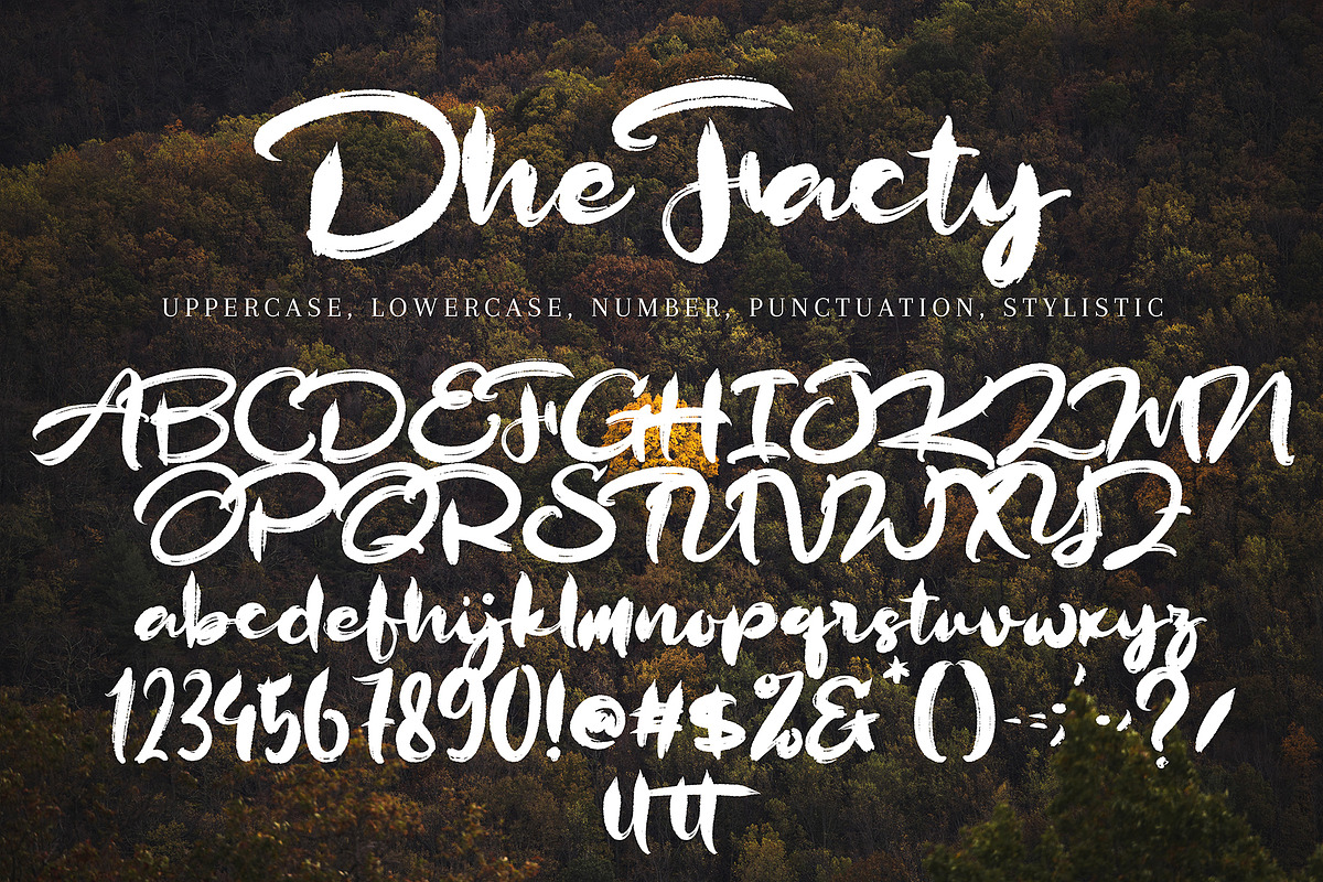 Dhe Facty, a Handwritten Font by pineungtype (Photo 2 of 6)
