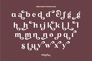 Delarosa - A Decorative Serif, a Serif Font by agnyhasyastudio (Thumbnail 13 of 17)