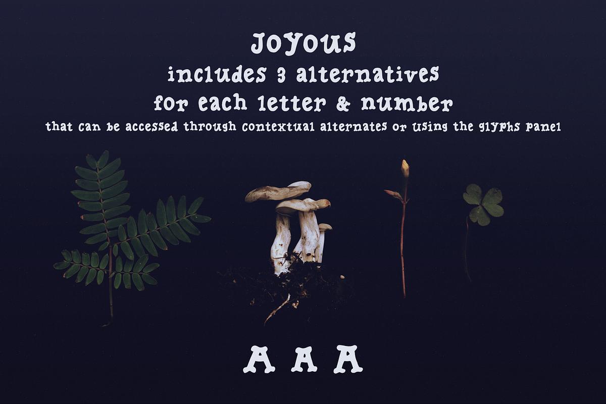 Joyous comics serif font, a Serif Font by Ana's Fonts (Photo 6 of 11)