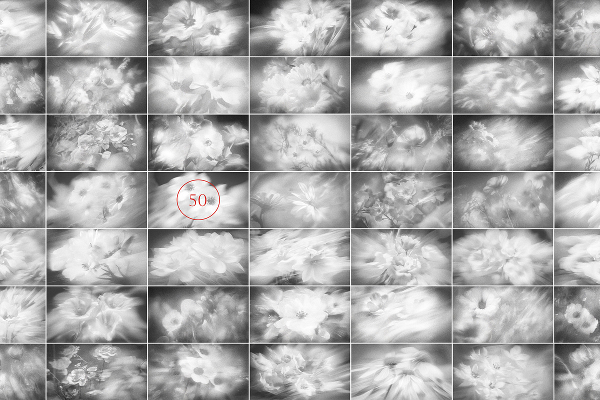 FLORAL Dusty Monochrome Backgrounds, a Background Graphic by Anzhelika (Photo 4 of 10)