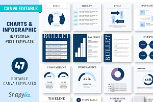 Instagram Charts and Graphs Template, a Presentation Template by Snapybiz