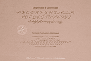 Rhetorical Flourish Font, a Handwritten Font by Letterhanna Studio (Thumbnail 9 of 9)