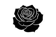 50 Black Rose Silhouette Vector Bund, an Illustration by Gaye Art (Thumbnail 2 of 51)