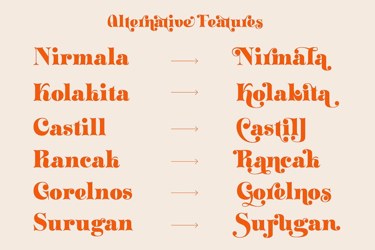 ZT Klotin - Display Typeface, a Serif Font by zelow type (Photo 15 of 15)