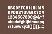 Musgo | Soft Condensed Rounded Sans, a Sans Serif Font by Antipixel Type Studio (Thumbnail 4 of 19)