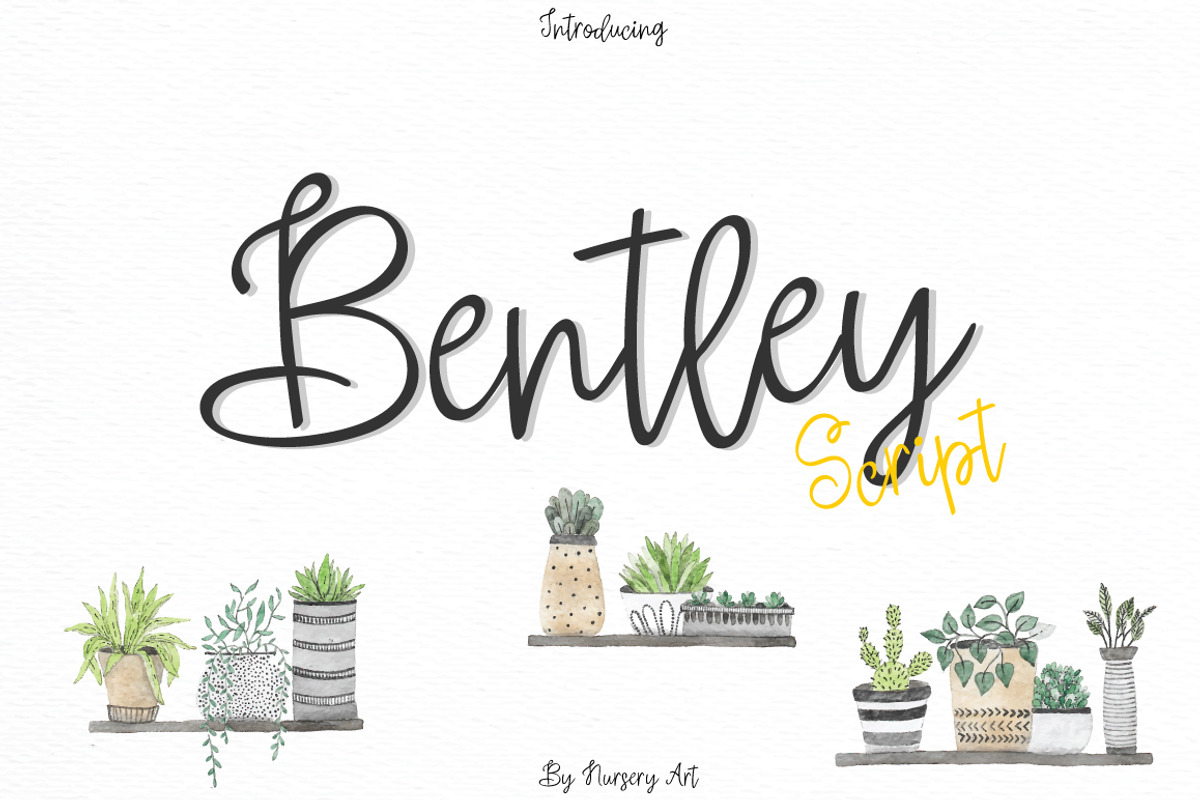 Bentley | Script