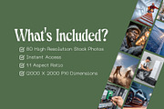 80 Sustainable Energy Stock Photos, a Technology Photo by Incomelion (Thumbnail 7 of 13)