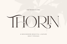 Thorin - Beautiful Serif Font
