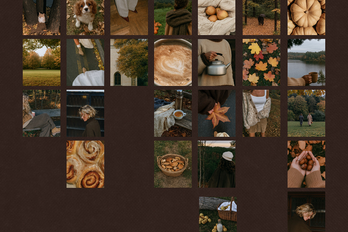 90+ Autumn Stock Photos, a Nature Photo by Trissa (Photo 5 of 12)
