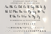 Brilliant, a Handwritten Font by FreshTypeINK (Thumbnail 2 of 8)