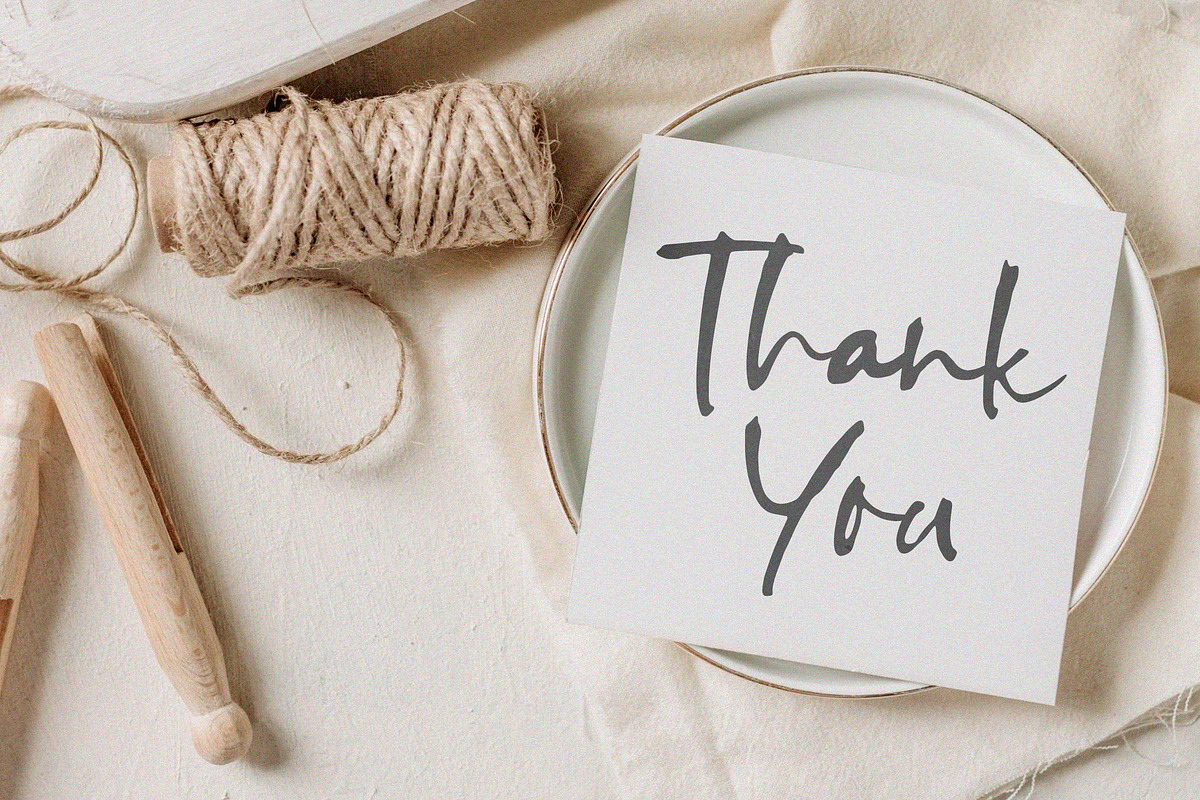 Magnoline Boutique Font, a Handwritten Font by Timurtype (Photo 7 of 7)