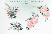 WATERCOLOR BUNDLE Peonies & Roses, an Illustration by ollalya (Thumbnail 43 of 101)