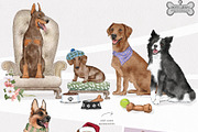 Pet Illustrations Patterns & Borders, a Graphic by Pretty Little Lines (Thumbnail 7 of 29)